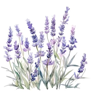 10 lavendel clipart l zachte paarse lavendel bloemen rand l JPG digitale download l afdrukbare aquarel clipart l junk Journal l Paper Craft