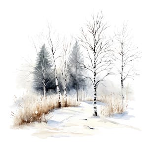 12 Clipart di paesaggi forestali invernali l Betulle e alberi sempreverdi l Download digitale JPG l Clipart acquerello stampabile