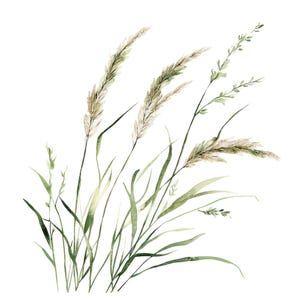 20 gras clipart l salie groen gras twijgen l JPG digitale download l afdrukbare aquarel clipart l junk Journal l papier ambachtelijke