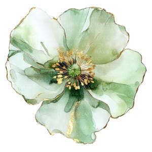 17 Clipart di fiori astratti l Papavero verde Acquerello Lamina d'oro Floreale l Download digitale JPG l Clipart acquerello stampabile