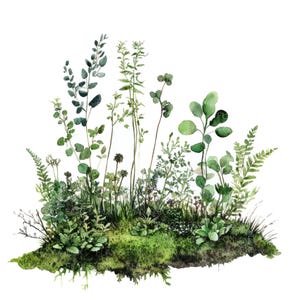 10 Clipart fougère forestière l Feuilles de mousse l Téléchargement numérique JPG l Clipart aquarelle imprimable l Journal indésirable l Créations artisanales en papier
