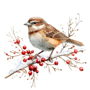 12 mus op tak clipart l rode bessen kerstkaart decor l jpg digitale download l afdrukbare aquarel clipart