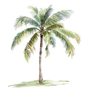 18 palmboom clipart l Tropische palmbomen l JPG digitale download l Afdrukbare aquarel clipart l Junk Journal l Paper Craft