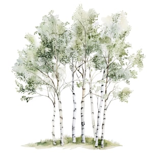 12 cliparts bouleaux l décoration printemps été l téléchargement numérique JPG l clipart aquarelle imprimable l journal indésirable l créations artisanales en papier