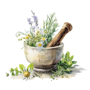 15 Mortar and Herbs Clipart l Rosemary Thyme Basil l JPG Digital Download l Printable Watercolor Clipart l Junk Journal l Paper Craft