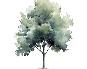 Op de afbeelding: Een aquarel van een groene boom met een dikke stam en takken. De boom is geïsoleerd op een witte achtergrond.