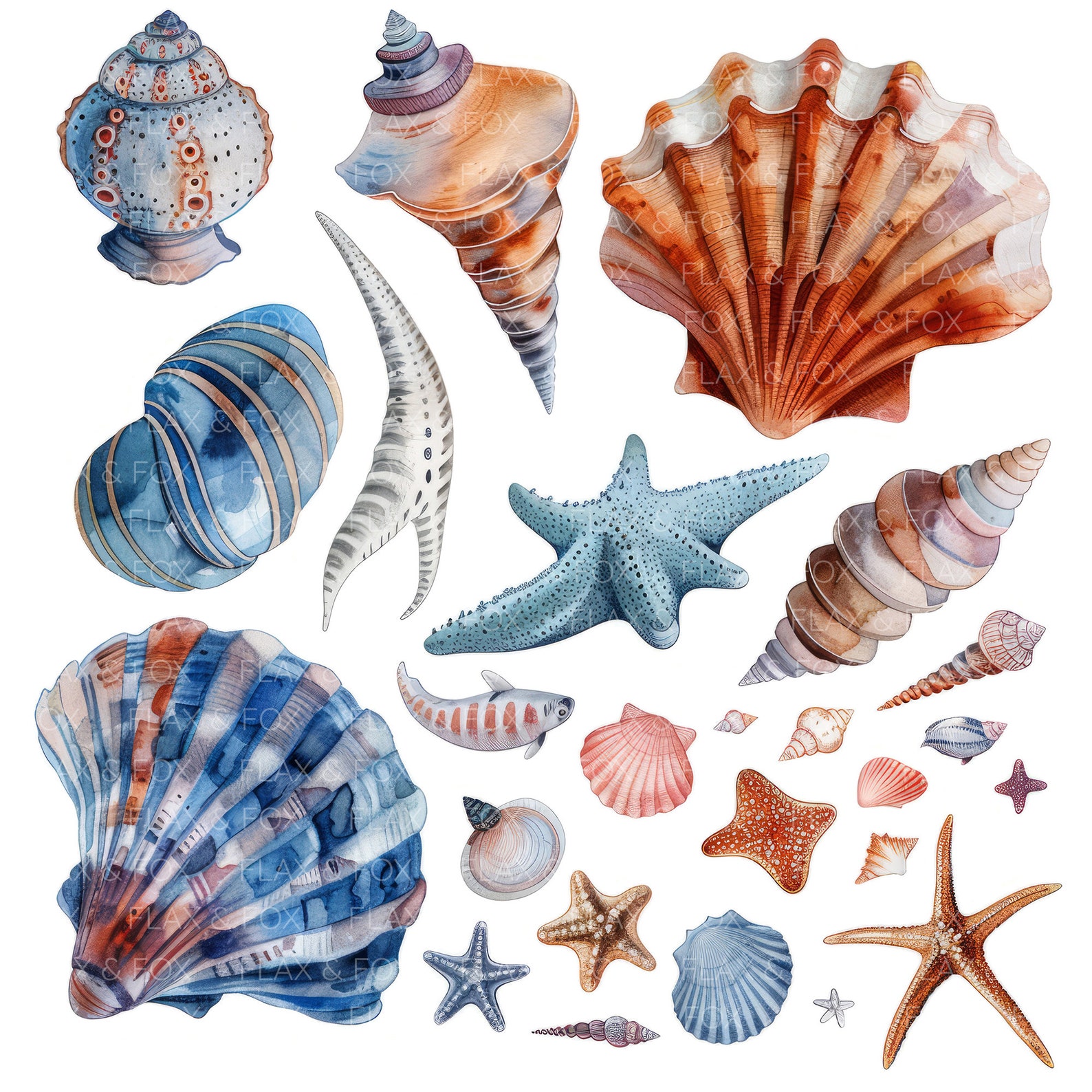Junk Shells 10 Underwater Collage Sheet Clipart L Sea Shells Coral L JPG Digital ...