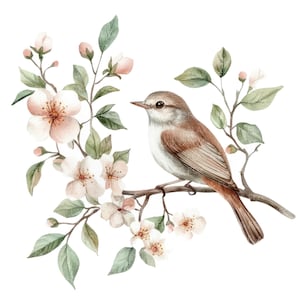 12 nachtegaal vogel clipart l Vogel op boomtak l JPG digitale download l Afdrukbare aquarel clipart l Junk Journal l Paper Craft
