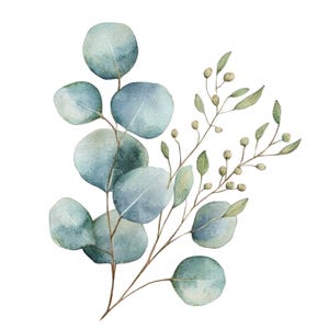 18 Eucalipto Clipart l Folhas Botânicas l Download Digital JPG l Clipart de Aquarela para Imprimir l Diário de Lixo l Artesanato em Papel