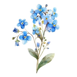 10 vergeet-mij-nietjes-clipart l Blauwe bloemen l JPG digitale download l Afdrukbare aquarel clipart l Junk Journal l Paper Craft