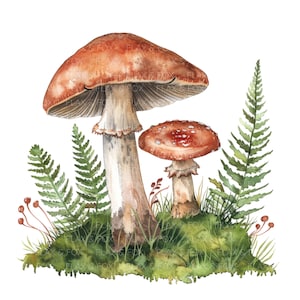 12 Clipart di funghi l Muschio di felce della foresta l Download digitale JPG l Clipart di acquerelli stampabili l Diario di spazzatura l Lavori di carta