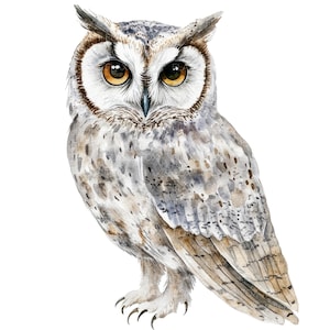 18 uil clipart l vogel l JPG digitale download l afdrukbare aquarel clipart l junk Journal l Paper Craft