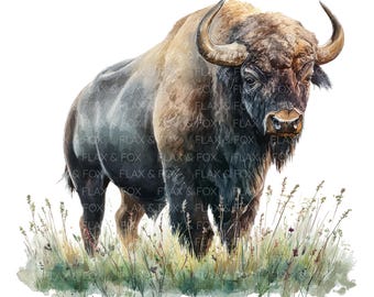 May include: Watercolor painting of a bison standing in tall grass. The bison has a dark brown coat with lighter brown and tan highlights. Its large horns curve upwards. The artwork has a soft, painterly style with a white background.