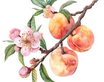 10 Peaches Clipart l Fruits Flowers Leaves l JPG Digital Download l Printable Watercolor Clipart l Junk Journal l Paper Craft