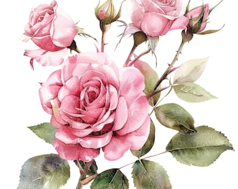 May include: A watercolor painting of a bouquet of pink roses with green leaves and stems. The roses are in various stages of bloom, with some fully open and others still in bud.