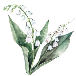 10 Clipart muguet l Fleurs blanches l Téléchargement numérique JPG l Clipart aquarelle imprimable l Journal indésirable l Créations en papier