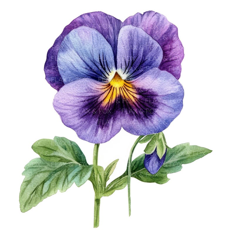 20 Pansy Flower Clipart L Purple Flowers L JPG Digital Download L ...