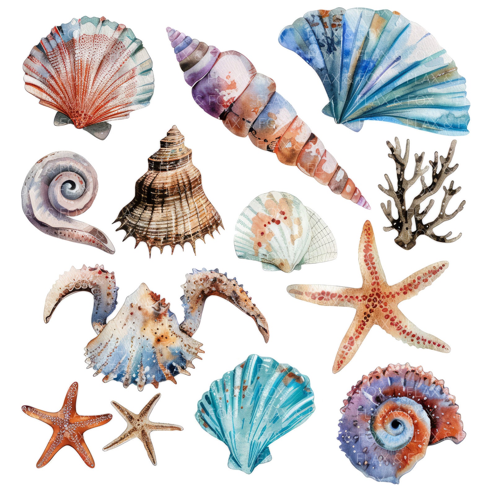 Shell Paper Collage 10 Underwater Collage Sheet Clipart L Sea Shells Coral L JPG Digital ...