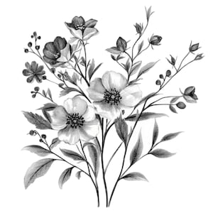 22 schwarze Tinte Blumen Clipart l Chinoiserie schwarze Blumen l JPG Digital Download l Printable Aquarell Clipart