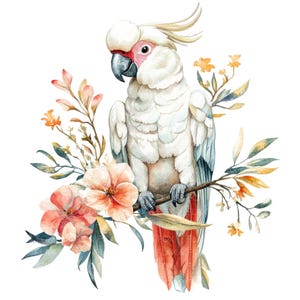 12 tropische kaketoe clipart l papegaai vogel en bloem l JPG digitale download l afdrukbare aquarel clipart l ongewenste dagboek l papier ambachtelijke
