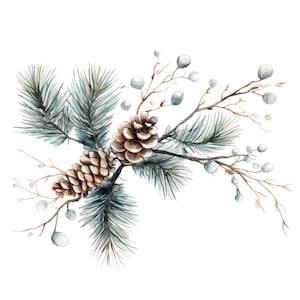 12 Clipart di rami invernali l Decorazioni natalizie sempreverdi l Download digitale JPG l Clipart acquerello stampabile l Diario spazzatura l Artigianato di carta