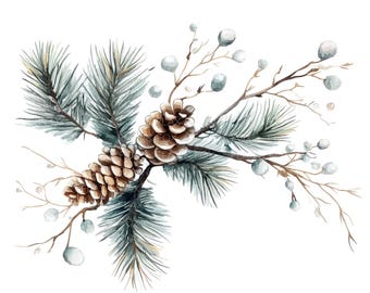 May include: Watercolor painting of a pine branch with two pine cones and white berries. The pine branch is green and the pine cones are brown. The berries are white and have a frosted appearance.