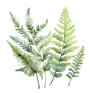 19 Clipes de samambaias da floresta l Folhas e folhagens l Download digital em JPG l Clipes de aquarela para impressão l Diário de sucata l Artesanato em papel