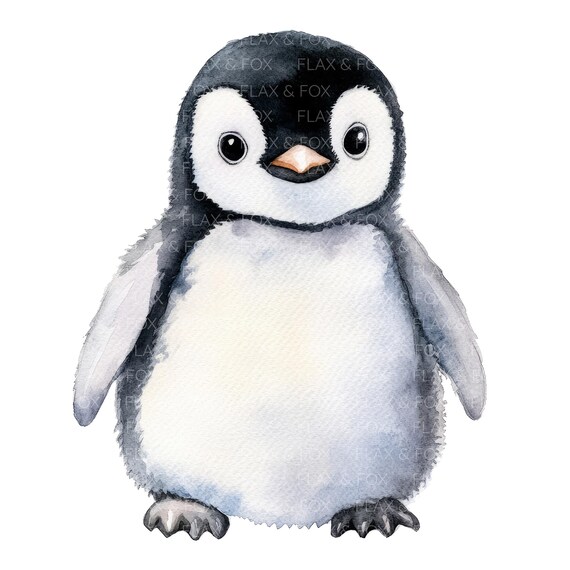 12 かわいい小さなペンギンのクリップアート l 赤ちゃんペンギン l JPG