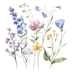12 clipart de flores silvestres de verão l flores em tons pastéis l download digital em JPG l clipart de aquarela para impressão l diário de lixo l artesanato em papel