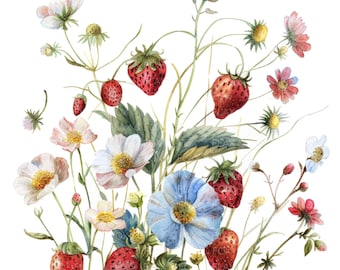 10 wilde aardbeien clipart l bosvruchten bessen bladeren l jpg digitale download l afdrukbare aquarel clipart