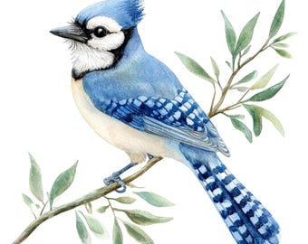 10 Blue Jay Bird Clipart l Bird on Tree Branch l JPG Digital Download l Printable Watercolor Clipart l Junk Journal l Paper Craft