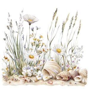 22 fleurs sauvages côtières Clipart l coquillages corail l téléchargement numérique JPG l Clipart aquarelle imprimable l journal indésirable l créations artisanales en papier