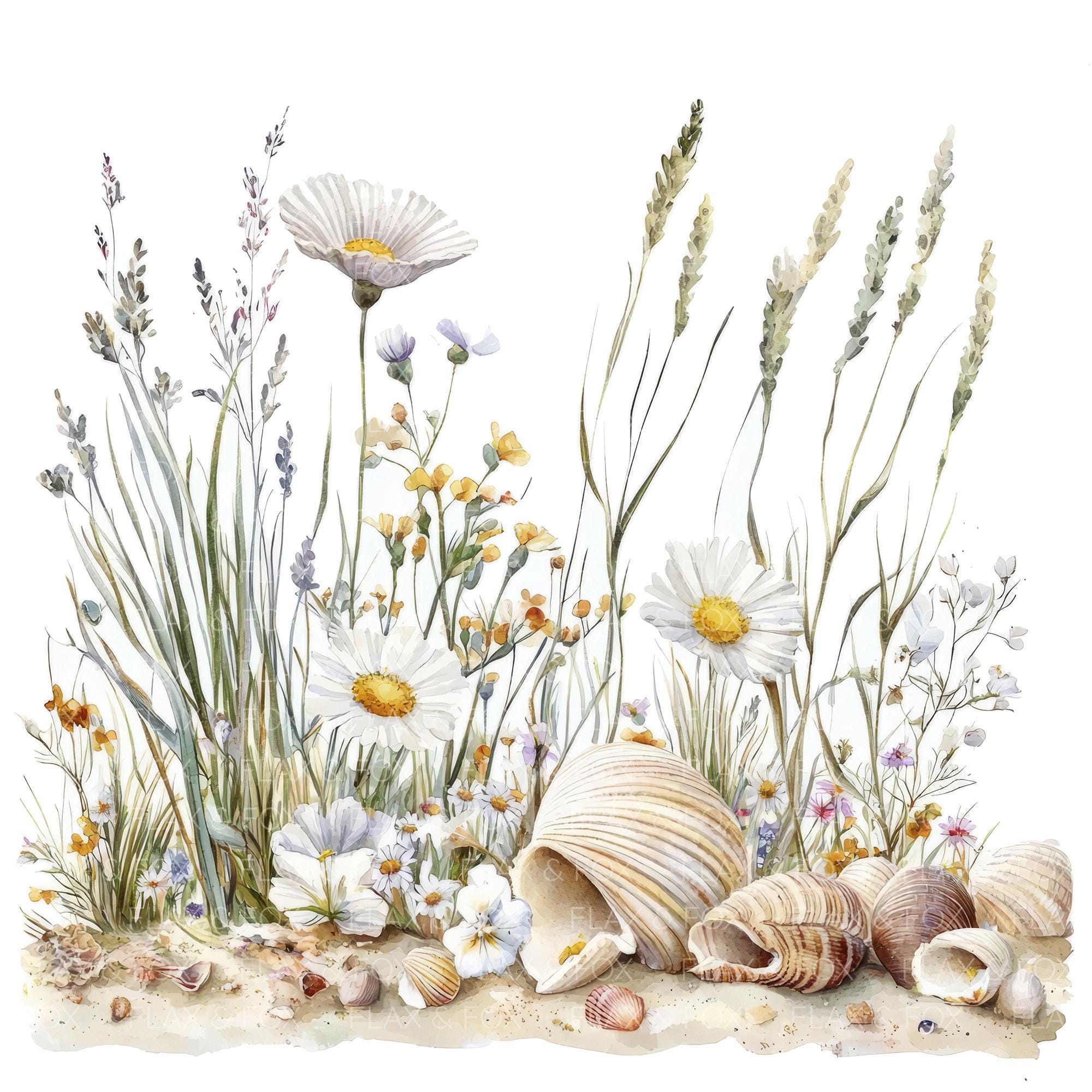 22 Coastal Wildflowers Clipart l Seashells Coral l JPG Digital Download l Printable Watercolor Clipart l Junk Journal l Paper Craft