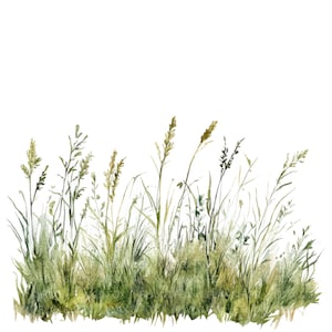 12 Grassland Clipart l Grama l Download digital JPG l Clipart de aquarela para impressão l Diário de lixo l Artesanato em papel