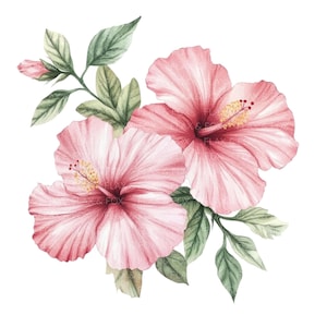 18 Cliparts de Hibisco l Borda de Flores Tropicais l Download Digital JPG l Clipart de Aquarela para Imprimir l Diário de Junção l Artesanato em Papel
