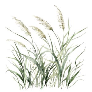21 Cliparts de Grama l Galhos de Grama Verde-Sálvia l Download Digital em JPG l Clipart de Aquarela para Imprimir l Diário de Lixo l Artesanato em Papel