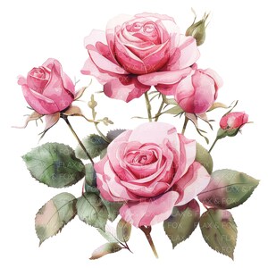 10 Pink Roses Clipart L Watercolor Floral L JPG Digital Download L ...