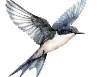10 Swallow Clipart l Flying Swallow Bird l JPG Digital Download l Printable Watercolor Clipart l Junk Journal l Paper Craft