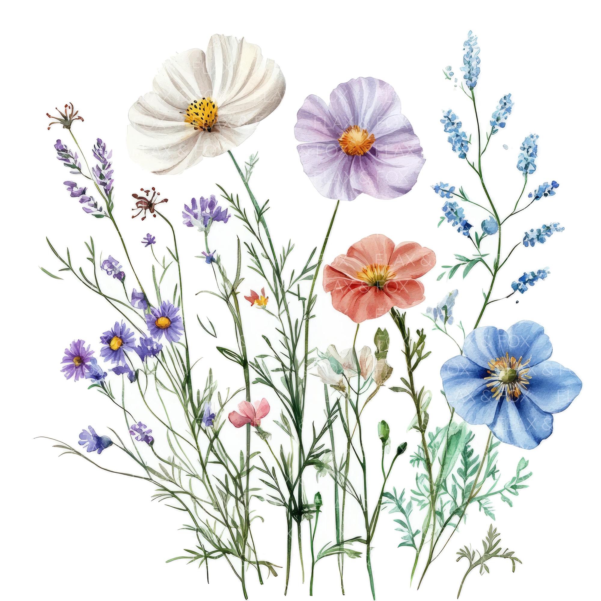 16 Summer Wildflowers Bouquet Clipart L Boho Flowers L JPG Digital