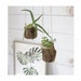 see more listings in the Plant pots section