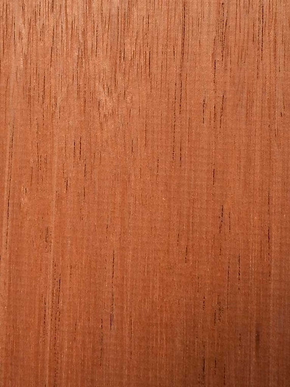 Un paquete mixto de diez espacios en blanco de Madera para torneado y otros pequeños proyectos de la pluma