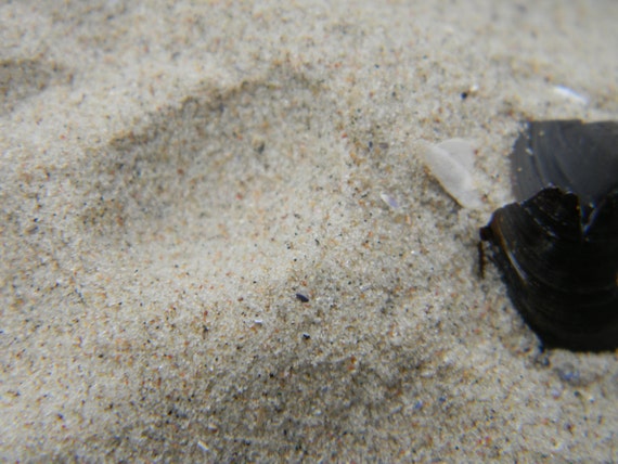 Beach sandmagic sandbeach sand jewelrybeach Etsy