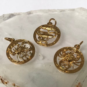 Colgante único de la medalla del encanto del zodíaco hecho británico, agua del encanto del zodiaco británico chapada en la vendimia de latón.