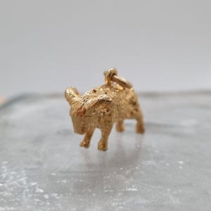 Peut inclure: Un petit charm doré en forme de mouton. Le charm a une surface texturée et une boucle en haut pour l'attacher à un collier ou un bracelet. Le mouton est debout sur quatre pattes.