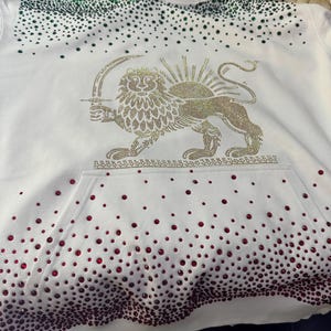 iran flag hoodie