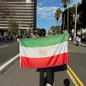 Iran flag