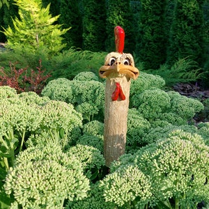 FUNNY Hidden CHICKEN/ROOSTER - Ceramic Garden Decoration Hand Made Outside decor Original gift Present for gardener Home decor Bird figurine