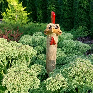 FUNNY Hidden CHICKEN/ROOSTER - Ceramic Garden Decoration, Hand Made Outside decor