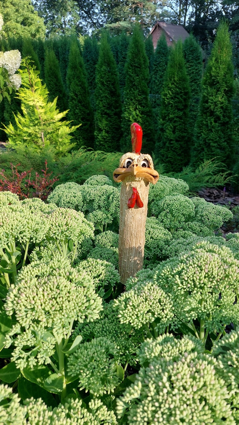 Op de afbeelding: Een keramiek haanbeeldje met een rode kam en een bruin lichaam, staand in een bed van groene planten.
