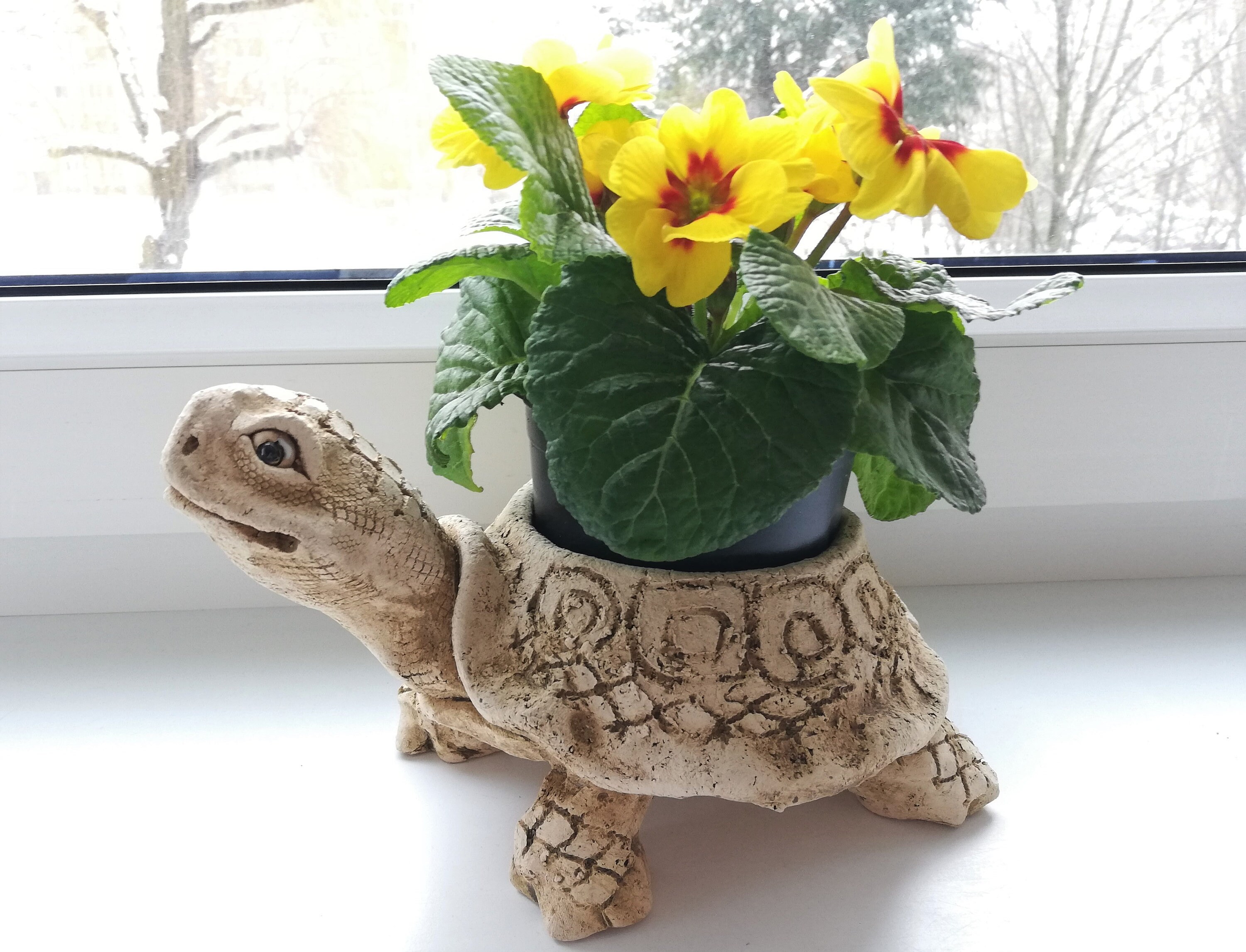 TURTLE Flower Pot Handmade Shamotte Clay Home&Garden Decor Etsy